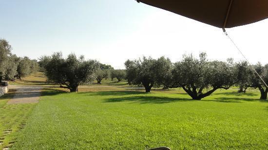 La Pecora Ladra Appartamenti Montalto di Castro Εξωτερικό φωτογραφία