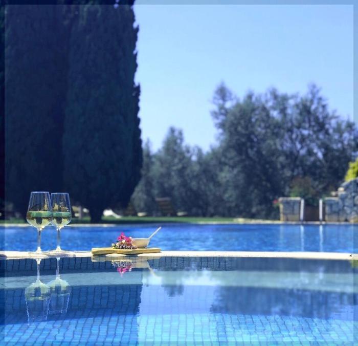 La Pecora Ladra Appartamenti Montalto di Castro Εξωτερικό φωτογραφία