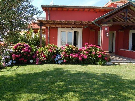 La Pecora Ladra Appartamenti Montalto di Castro Εξωτερικό φωτογραφία