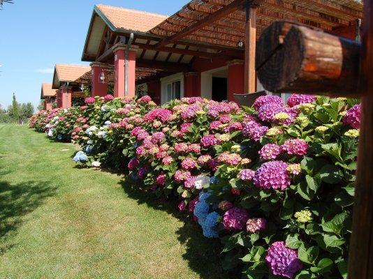 La Pecora Ladra Appartamenti Montalto di Castro Δωμάτιο φωτογραφία